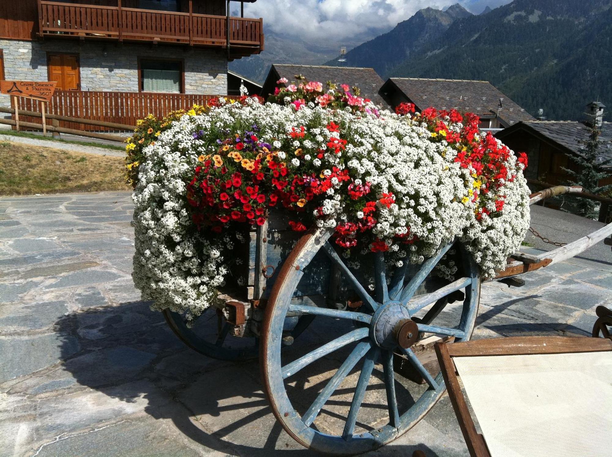 Residence Lo Peyo Champoluc Eksteriør billede